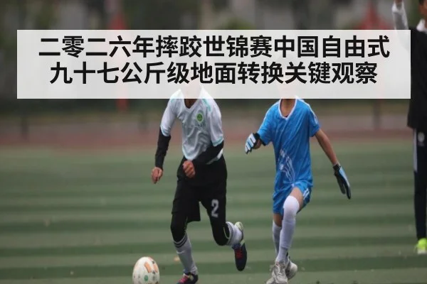 二零二六年摔跤世锦赛中国自由式九十七公斤级地面转换关键观察